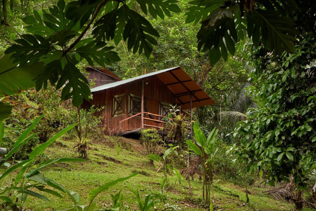 Sukia Hostel Drake Bay Exterior photo