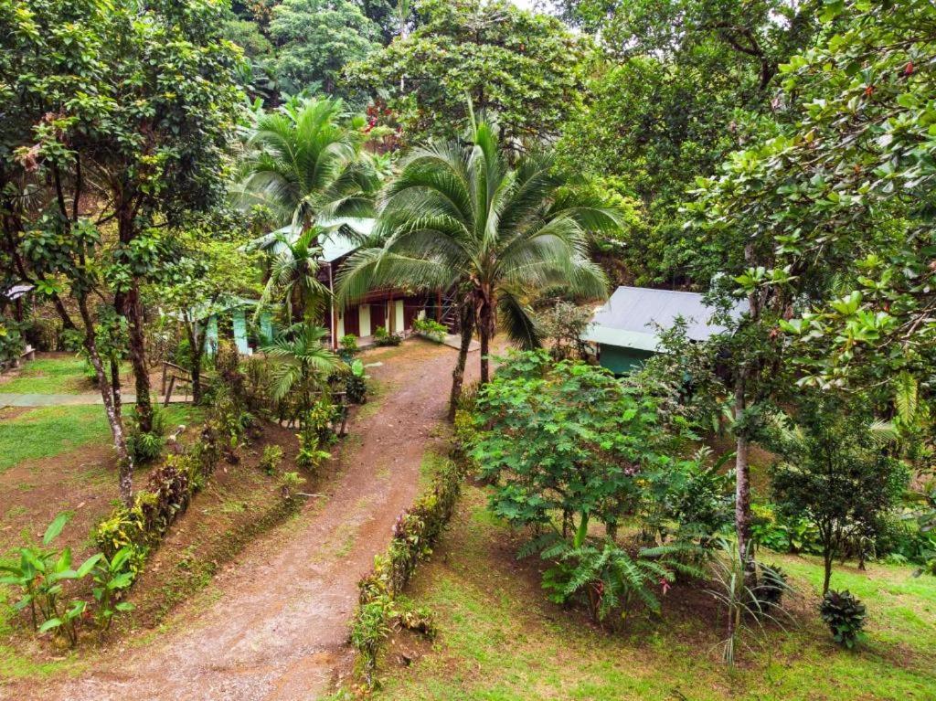 Sukia Hostel Drake Bay Exterior photo