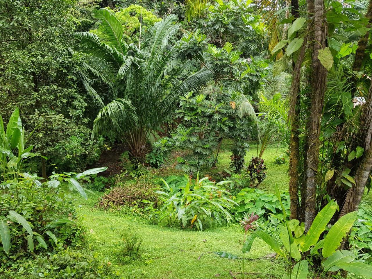 Sukia Hostel Drake Bay Exterior photo