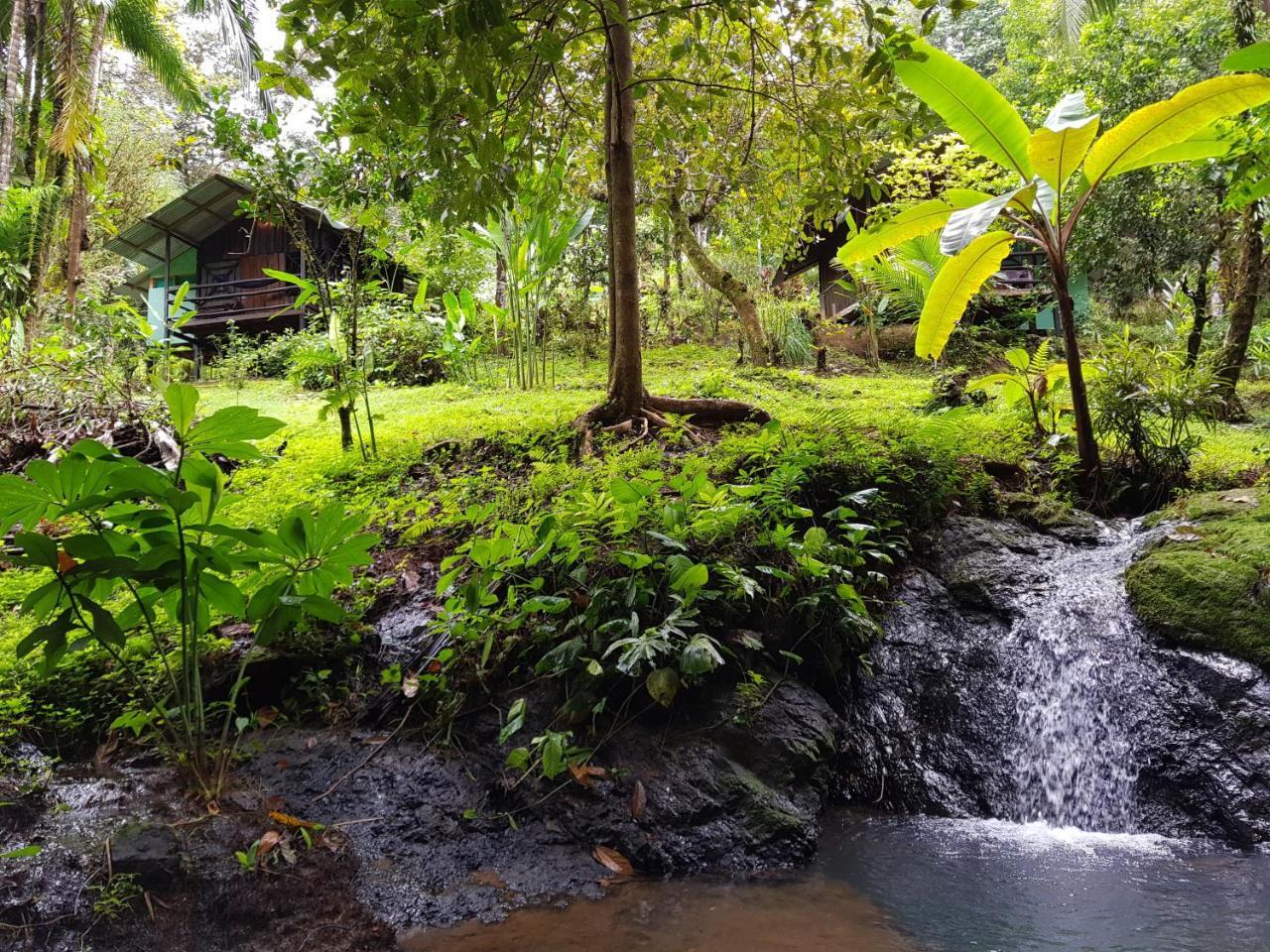 Sukia Hostel Drake Bay Exterior photo